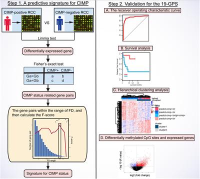 A Qualitative Transcriptional Signature for Predicting CpG Island Methylator Phenotype Status of the Right-Sided Colon Cancer